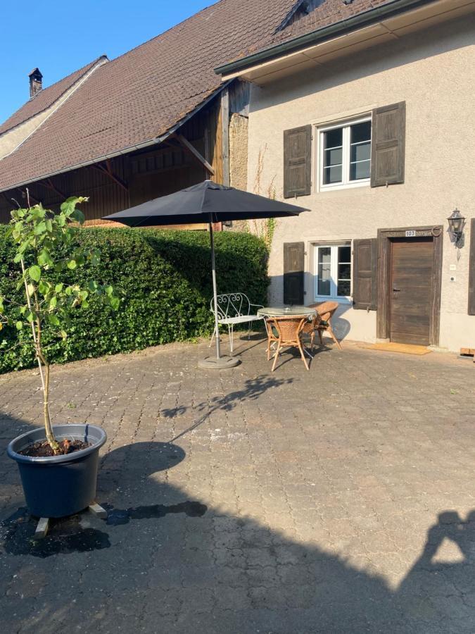 Ruhige 2 Zimmer Wohnung Diegten Dış mekan fotoğraf
